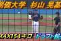 今年のドラフト目玉 創価大の杉山晃基(183cm最速54km/h)←こいつに行かないチキン球団おる？ 	