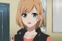 アニメの進行管理に就こうと思うんだが『SHIROBAKO』みたいに動けば良いんだよな？