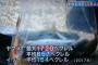 【悲報】TBSさん、福島県で川魚の放射線量を調査してしまう