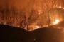 【悲報】山火事さん、韓国を ”こ ん な に も” 燃やしてしまう・・・・・・（画像あり）