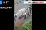 川崎殺傷事件の現場画像が悲惨すぎる…カリタス学園の小学校6年生と保護者の30代男性が死亡、無差別殺人をした犯人の51歳男は自殺！
