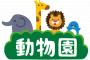 【動画あり】動物園で次男が買ったお土産がヤバすぎるんだがｗｗｗｗｗｗｗｗｗｗ