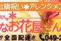 【超画像速報】野獣先輩、お花だった