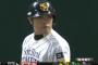 【悲報】今のプロ野球、阿部、城島、古田、田上みたいな打てる捕手がいない