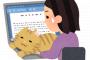 【大悲報】ワイの書いたWikipedia、消されそう