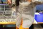 【朗報】あいみょん、超絶女神ｗｗｗｗｗｗｗｗｗｗｗｗｗｗ