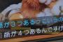 【悲報】犬のぬいぐるみにとんでもない魔改造を施したトヨタ技術者さんのサイコパス的なコメントが話題にｗｗｗｗｗｗｗｗｗｗ