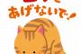 なんかワイの畑に野良猫が住み着いたんやがｗｗｗｗｗｗ