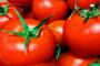【悲報】トマト農家さん、野菜泥棒を張り紙で挑発した結果wwwww