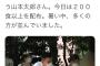【悲報】山本太郎さん、猛暑の中ホームレスに弁当を袋詰めして200食配る