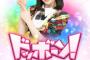 「AKB48のどっぼーん！ひとりじめ！」のあるあるを書いていけ