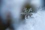 明後日から雪が降るらしいんだが