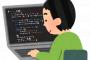 ワイ「プログラミングできます」←なぜか就職できないwwww