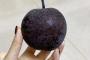 見た目は完全に「毒リンゴ」、中国北方で冬に食べられている「謎の果実」の正体は...？（画像あり）
