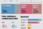 【悲報】韓国国民の53％が政権交代を希望　ムンちゃん…(´・ω・｀)