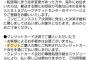 【提言】AKB48、5月24日のコンサートは1月のTDCコンサートチケット当選者を優先すべき！！！