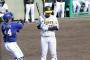 阪神井上が４打席連続三振「４番の重みを感じてほしいわ」平田２軍監督