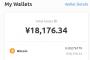 1ヶ月ビットコインマイニングした結果がこちら・・・wwwwwwwwwwwwwwwwww