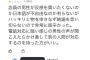 【超悲報画像】陰キャ「バイト応募したら電話で落とされた！悔しいからレビュー荒らしてやる！」店員「…w」