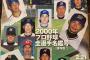 2000年度のプロ野球選手名鑑が出てきたンゴwww
