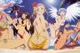【画像】クイーンズブレイドとかいう個性溢れるえちえちアニメｗｗｗｗｗ