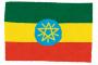 【衝撃】“アフリカの成功モデル”エチオピアさん、分裂の危機！！
