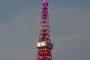 【乃木坂46×東京タワー】とても綺麗にライトアップされる！！！