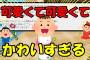 【2ch面白いスレ/ほのぼのスレ】可愛くて可愛くて　かわいすぎる【ゆっくり解説】
