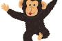 【悲報】手話を覚えたチンパンジー、群れない理由を飼育員に回答