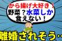 【2ch修羅場スレ】から揚げばっかり食べてたら食生活が合わなくて離婚されそうな件【ゆっくり】