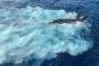 南シナ海に沈んだF-35C戦闘機らしき画像がSNSに浮上…米中が回収合戦！