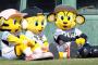阪神タイガース総額12億超え助っ人集団の成績