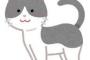 【画像】日本人さん、物理のテキストにも関わらず「シュレディンガーの猫」理論を捻じ曲げてしまう…