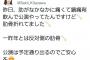 【悲報】AKB48北澤早紀さんが肋骨を骨折してしまう…