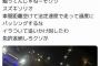 【悲報】後続車が段差を越えた時の光をパッシングと勘違いし、あおり運転を開始してしまったドライバーｗｗｗｗｗｗｗｗ