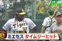 【阪神ファン集合】今日の阪神タイガース紅白戦の個人成績を集計した結果ｗｗｗ