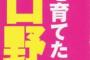 【週刊実話】NPB，岩手に新球団爆誕へ