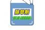 上毛新聞「除草剤まかれ街路樹枯れる。犯人は誰なのか。現場はビッグモーターの前」