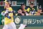 【疑問】阪神タイガースがいつもこの時期に首位陥落する理由ｗｗｗｗｗｗｗｗｗｗｗｗ