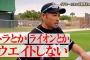 イチロー「トラとかライオンはウエイトしない」←これ