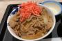 【画像】マナー講師「牛丼にかけていい紅生姜の量はひとつまみデース」←これ