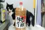ビールのつまみの柿の種と猫　・・・柿の種でかくね？