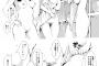 【画像】ヱロ漫画には陰毛いらないｗｗｗｗｗ