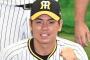 【悲報】梅野は俺達が思っている以上に満身創痍なのかもしれない　←　藤田を使え