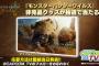 12/20 20時～年内最後「カプコンTV」で『モンスターハンターワイルズ』紹介とのこと。新情報は！？ラジオ番組も本日より配信