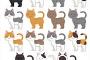 【友やめ】猫アレルギーの私に、世話しろ！と主張するAB「ぬこに罪はない！ぬこを嫌うな！ぬこは悪くない!!!!」