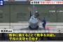 台湾・頼清徳総統「戦争に備えることで戦争を回避する」…防衛力の強化や民主主義国家との連携を訴え！