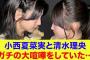 【日向坂46】小西夏菜実と清水理央、ガチの大喧嘩をしていた…（不憫な石塚瑶季とお気楽な藤嶌果歩）【ひなパレ】【新・日向坂ミュージックパレード】