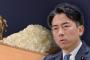 元農相「ルールを覚えろ！」進次郎「これがルールだ！！」ドヤァ
