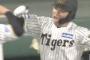 【朗報】坂本誠志郎、3ランが飛び出すwwwwwwwwwww（阪神8 - 2オリックス）